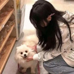 王者勋章大逃杀手游下载